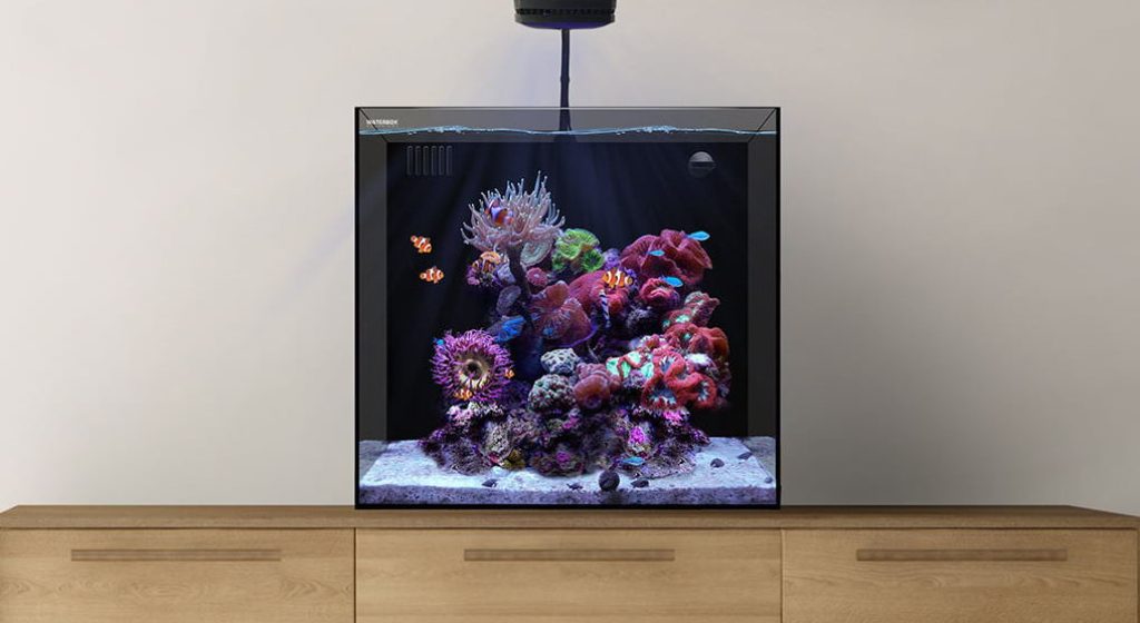 waterbox cube urna marino