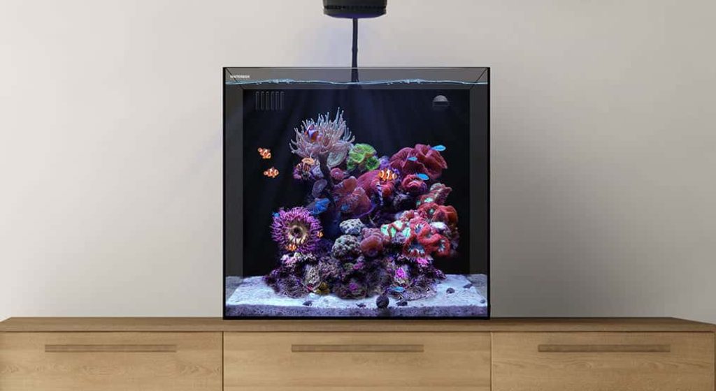 waterbox cube urna marino