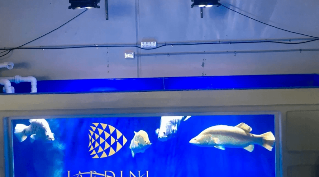 frashwater-LED-light-amazonas-32